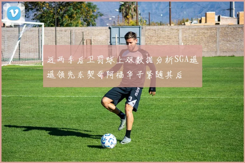 近两季后卫罚球上双数据分析SGA遥遥领先东契奇阿福华子紧随其后