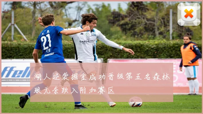 湖人逆袭掘金成功晋级第五名森林狼无奈跌入附加赛区