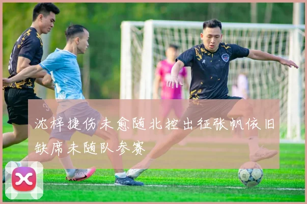 沈梓捷伤未愈随北控出征张帆依旧缺席未随队参赛